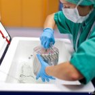 La donación de órganos salva vidas.