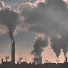 Las partículas tóxicas del aire pueden ir directas del pulmón al cerebro