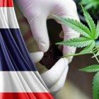 Tailandia prohíbe el consumo de cannabis en universidades tras legalizarlo