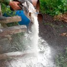 Ecuador incauta 1,5 toneladas de droga en una lancha procedente de Colombia