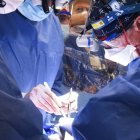 Trasplantan con éxito corazones de cerdo modificados a humanos fallecidos