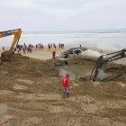 El hecho alarmó a nativos y turistas. El animal fue sepultada en el mismo sitio.