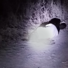 El hombre fue abandonado con 4 tiros en la cabeza.