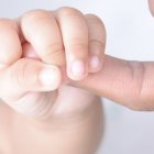 Este hecho ocurrió el viernes 29 de julio en el cantón Naranjal.