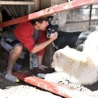 Carlos Gavela casi muere por salvar a sus perritos.