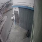 Los animalitos aparecen estrangulado o asesinados a pedradas.