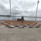 Bala, guerrilla e incautación de cocaína en zona fronteriza de Esmeraldas