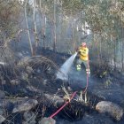 576 hectáreas de vegetación han desaparecido en Azuay y Cañar por efecto del fuego