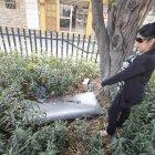 Dentro del lugar se observa una ‘habitación’ armada y lista para tener sexo entre arbustos.