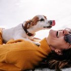 Los perros son capaces de oler el estrés de las personas