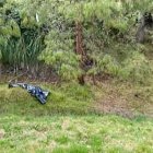 La Policía investiga como presunto femicidio, en base a datos proporcionados a testigos.