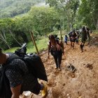 Sus perfiles de TikTok tienen reproducciones de videos que oscilan entre las 10.000 y las casi 500.000.