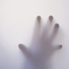 Los espíritus nos ayudan desde el ‘Mas Allá’.