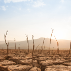 Tedros recordó que el cambio climático, ligado a conflictos y otros factores, ha dejado a 47 millones de personas con problemas de malnutrición en el Cuerno de África.