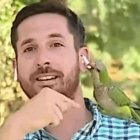 Un loro le robó los auriculares a un periodista en plena transmisión en vivo