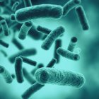 La lepra tiene el potencial de regenerar hígados en animales