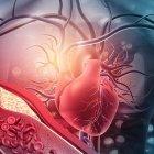 El colesterol "bueno" no lo es tanto para predecir enfermedad cardíaca