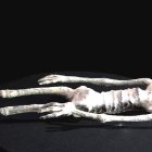 Momias encontradas en Perú tienen características de humanos y aves.