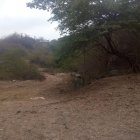 En el lugar de los hechos se hallaron dos indicios balísticos, calibre 9 milímetros.