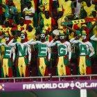 Varios hinchas de Senegal se pintaron el cuerpo de blanco para protegerse del maleficio que le hicieron a la Tri.