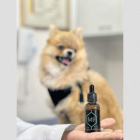 Crean fórmula que salva a las mascotas.