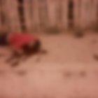 Sobre el suelo, boca abajo, quedó el cuerpo de Darío Alcívar