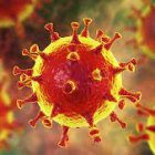 Investigadores identifican 26 compuestos naturales que bloquean la covid-19