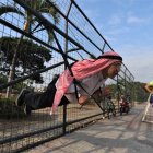 Borbor le quiso  mostrar a la gente de Puerto Liza que está en buena forma física y se puso como Superman.