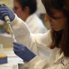 Estudio muestra diferencias entre la reparación pulmonar de machos y hembras