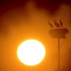 Científicos de EEUU alertan del peligro de calentamiento "irreversible"