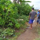 Manabí: Cadáver fue hallado entre la maleza y en estado de descomposición