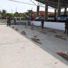 En lo que va del año se han decomisado 9 toneladas de droga en varios puertos del Ecuador.