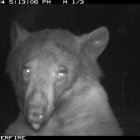 Una de las fotos que fueron publicadas por el parque.