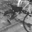 El hecho de sangre se registró en el barrio Santa Rosa, en la Av. Roberto Luis Cervantes, muy cerca del barrio La Ziate.