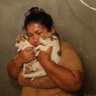 Catalina se dedicaba a recoger perros de la calle, ellos le hacían compañía en su casa, en el Guasmo sur.