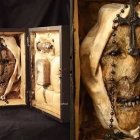 Así luce la cabeza momificada de la monja alemana María Rosenthal, en el siglo XVIII.