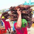Cangrejeros piden más seguridad para poder continuar ejerciendo sus labores.