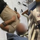 Las imágenes fueron captadas hace un año pero se hicieron virales recientemente.