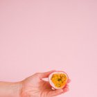 La pulpa es la base de muchas recetas que van desde postres hasta salsas para platos salados.