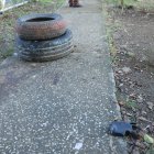 En este parque se realizó el hecho violento.