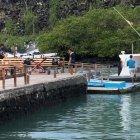 El cuerpo de la víctima, cuando arriba a Puerto Ayora, en la isla Santa Cruz.