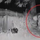 El supuesto alien tenía el torso más grande que el resto de su cuerpo y sus ojos parecían brillar.