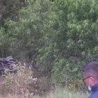 Un bus se volcó en la carretera que une Píllaro y Ambato.