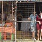 La mujer fue testigo de cómo dos sujetos armados asesinaron a su pareja.