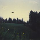 Una de las fotos del carrete de Billy Meier donde se obverva presunto OVNI.