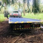 El vehículo plataforma en el cual se desplazaban el sargento de Policía y su esposa.