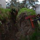 Además de la vigilancia, los vecinos optaron por colocar letreros para que los transeúntes no destruyan la quebrada.