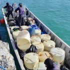 La Armada incautó más de una tonelada de cocaína en Galápagos.