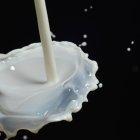 Entre los mitos más comunes está el de creer que se puede embarazar en una piscina