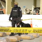 En el narcotráfico ecuatoriano habría participación de al menos dos cárteles mexicanos.